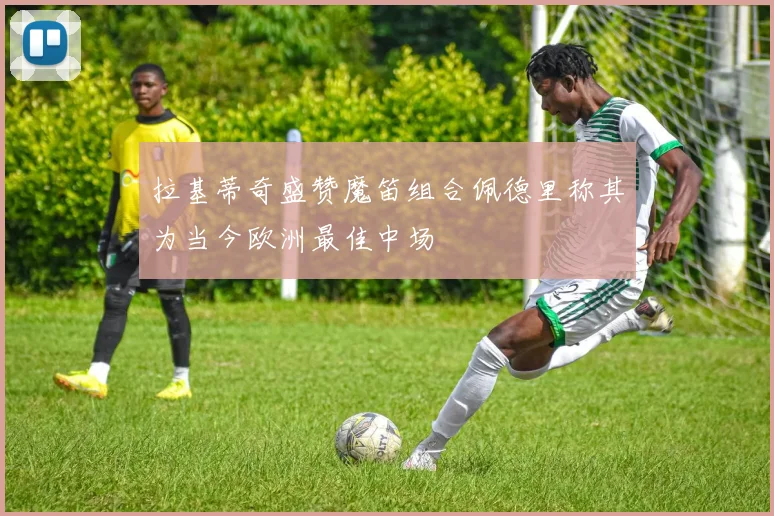 拉基蒂奇盛赞魔笛组合佩德里称其为当今欧洲最佳中场