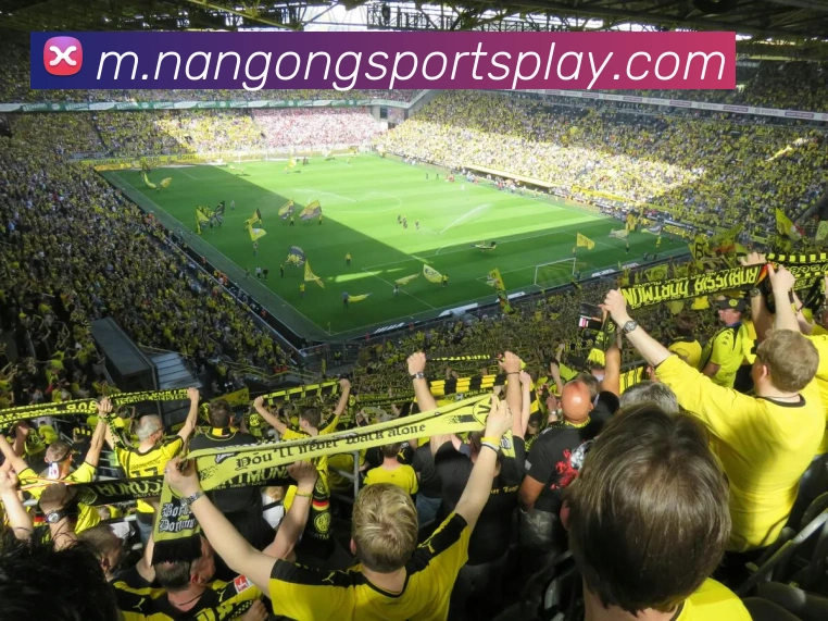 南宫体育平台生态图